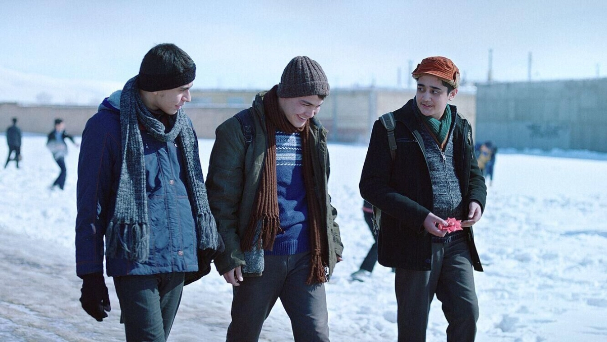 In the Land of Brothers